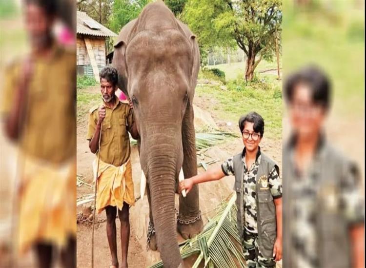 Subhadra:14-year-old-girl-with--becomes--Forest-Expert