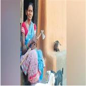 Subhadra:65-year-old-Padmini-Majhi-of-Birsinghpur-village-of-Nuapada-district