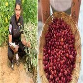 Subhadra:Chef-Radhika-Khandelwals-dishes-tell-a-story-of-roots-resilience-and-reinvention