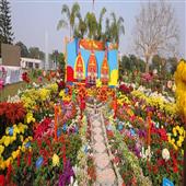 Subhadra:Flower-Show-in-Bhubaneswar