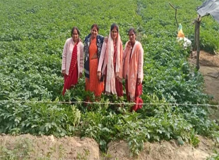 Subhadra Live:Four-Friends-are-earning-up-to-6-lakhs-by-doing-farming