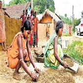 Subhadra:Green-Energy-under-control-of-Women