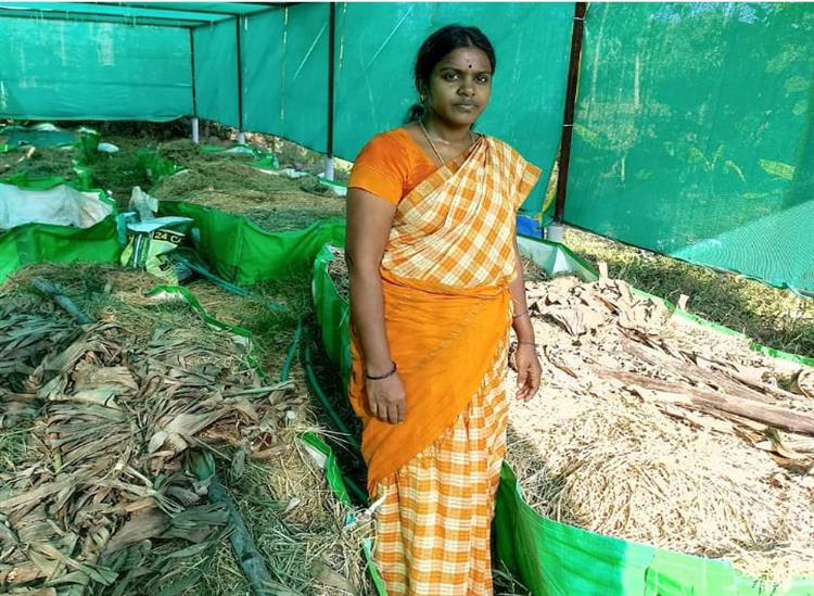 Subhadra Live:He-started-a-business-from-home-and-he-is-earning-4-lakhs-annually-by-selling-seeds