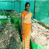 Subhadra:He-started-a-business-from-home-and-he-is-earning-4-lakhs-annually-by-selling-seeds