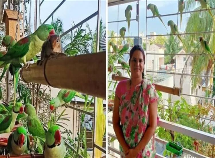 Subhadra Live:Home-has-become-a-birds-safe-haven