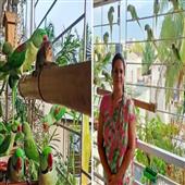 Subhadra:Home-has-become-a-birds-safe-haven