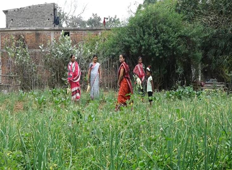 Subhadra Live:Mita-Mahakur-cultivates-various-veggie-crops-in-Subarnapur