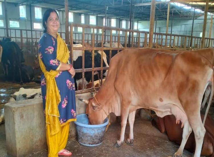 Subhadra:Namita-Patjoshi-mortgaged-her-jewellery-to-buy-a-cow-to-provide-milk-to-her-large-family