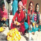 Subhadra:Preeti-is-making-a-unique-effort-to-protect-mountains