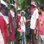 Subhadra:Pushlakshmi-the-youngest-beekeeper-in-the-kingdom