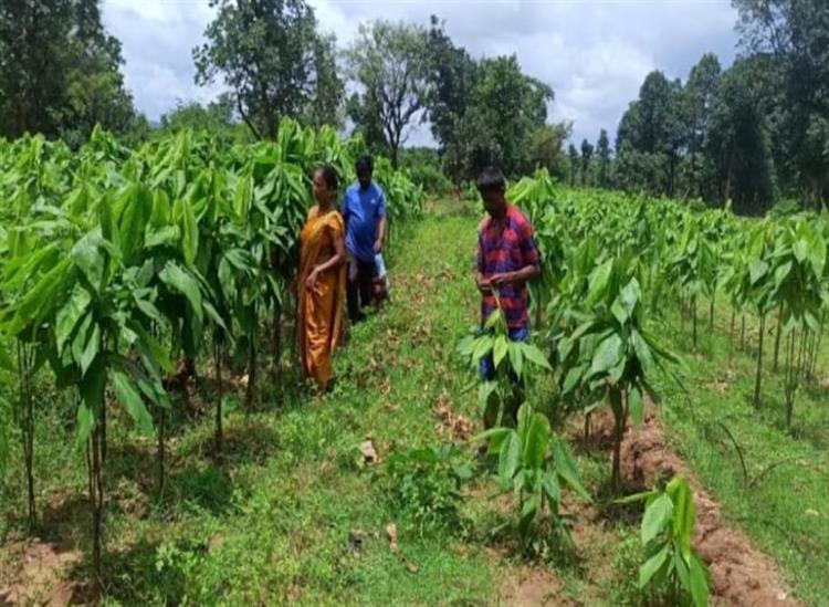 Subhadra Live:Rural-women-turned-5-acres-of-barren-land-into-cultivable-land