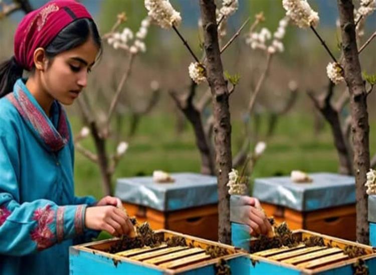 Subhadra Live:Sania-Zehra-A-Champion-In-Beekeeping