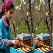 Subhadra:Sania-Zehra-A-Champion-In-Beekeeping