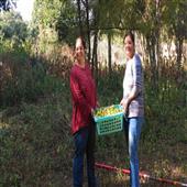 Subhadra:Sisters-Took-Up-Farming-in-Their-40s-Earn-Rs-11-Lakh-Growing-Gooseberry