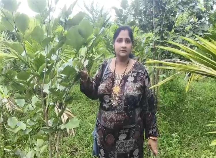 Subhadra Live:Swapnamayis-successful-farming