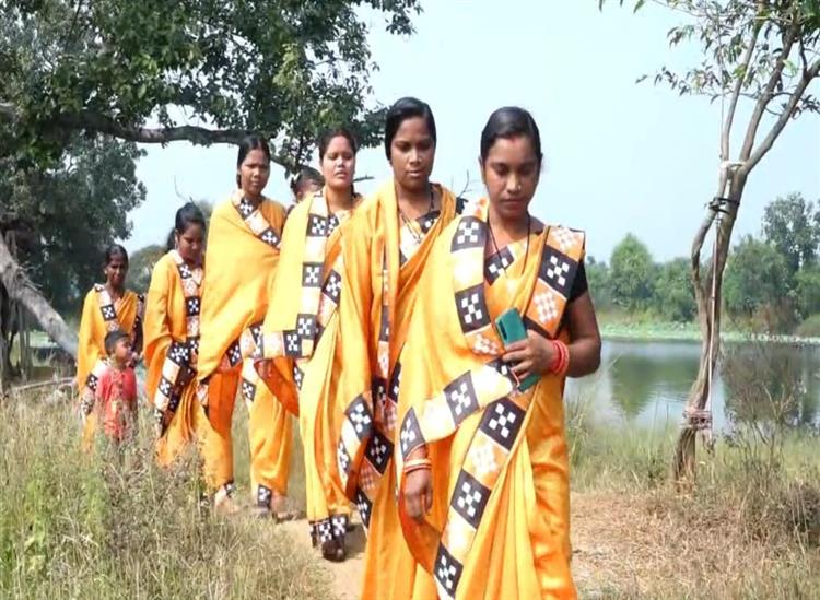 Subhadra Live:fish-farming-has-paved-way-for-a-group-of-women-to-be-self-reliant